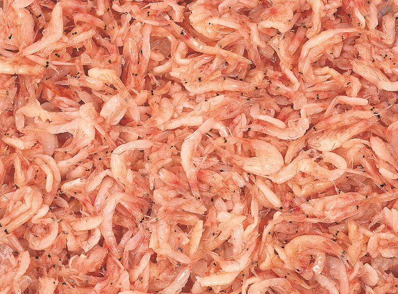 [포맷변환]새우젓_명품화_사업1_강화새우젓